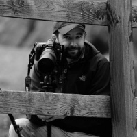Pierre PAPON, contacter un expert