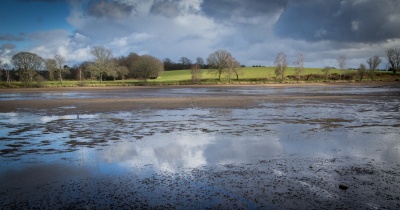 Etudes réglementaires sur l'eau