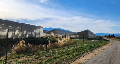 Serres photovoltaïques