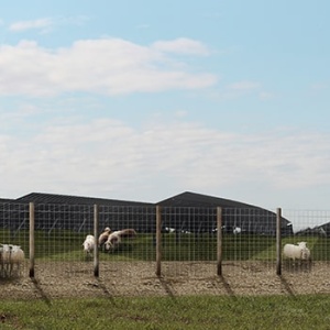 Photomontage agrivoltaïque Mederic BASTARD