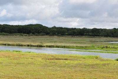 Études sur le grand paysage